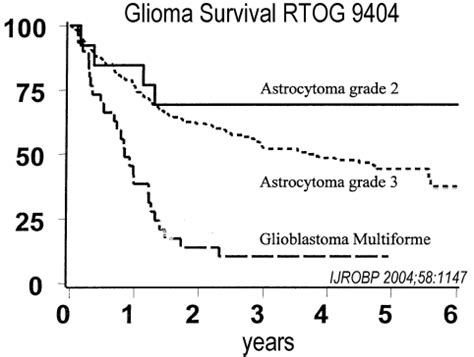 glioblastoma survival