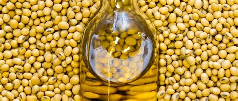 GMO label doesn t deter European companies  interest in ...