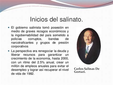 Gobiernos de Carlos Salinas de Gortari y Ernesto Zedillo