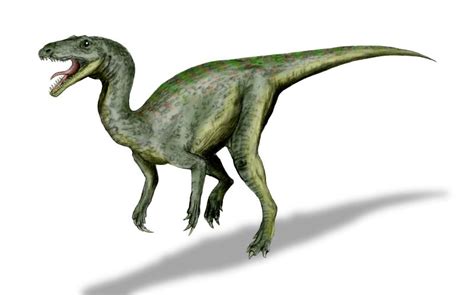 Gojirasaurus   Wikipedia