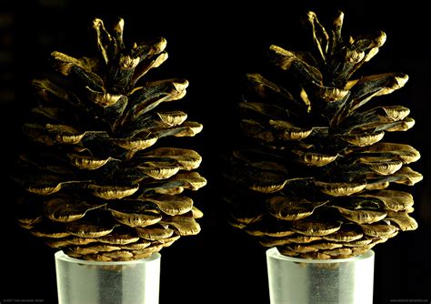 Golden Cone   stereoscopic 3D by Hector42 on DeviantArt
