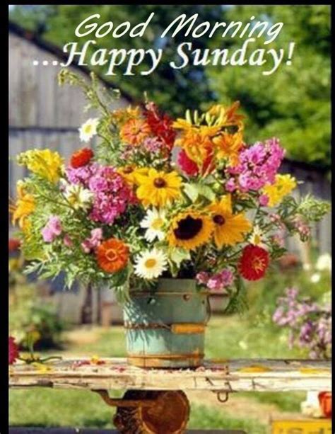 Good Morning Happy Sunday Image With Flowers Pictures ...