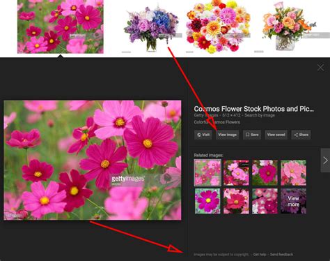 Google Image Search removes View Image button and Search ...