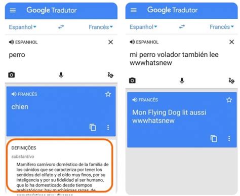 Google Translate ahora integra diccionario en android