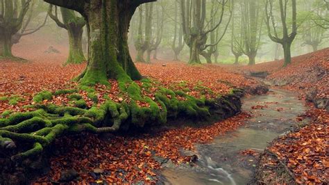 Gorbea Natural Park. Spain | Feel The Planet