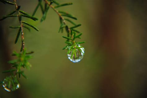 Gota de lluvia   Imagui