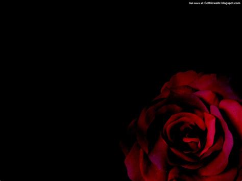 Gothic Rose   Dark Gothic Wallpapers   FREE Gothic ...