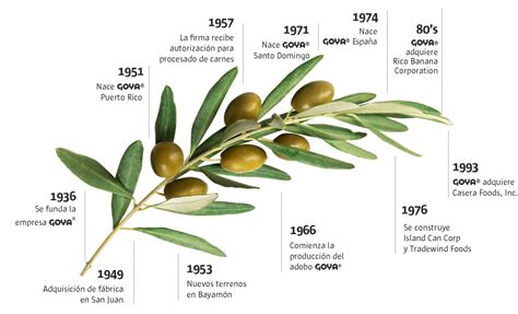 Goya España empresa productora de aceite de oliva y aceitunas