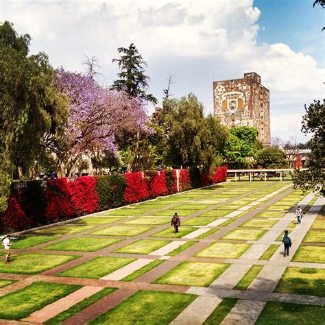 ¡Goya! Un paseo por Ciudad Universitaria UNAM