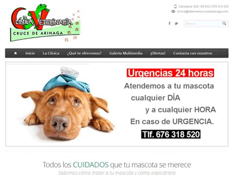 Gran Canaria Pets | Perros machos y hembras