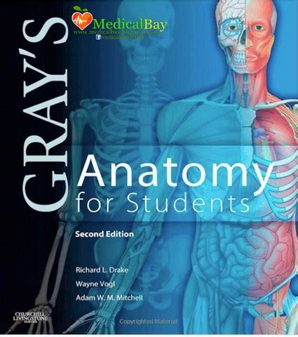 Gray s Anatomy for students free download PDF eBook online ...