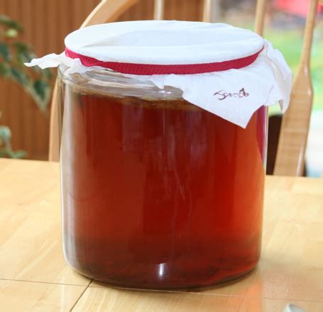 Green and Growing: Kombucha: Part 1 of 3