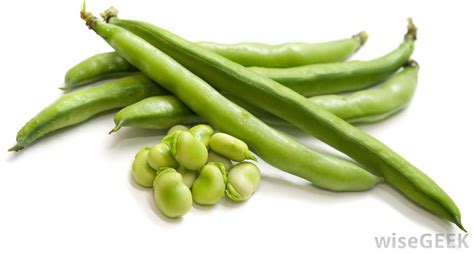 Green bean benefits for health nutrients and sources ...