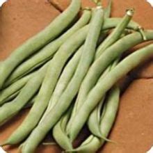 Green beans nutrition facts and health benefits |HB times