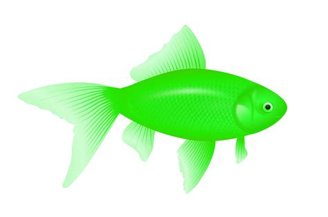 green fish PNG image