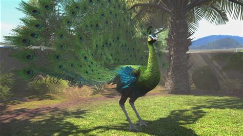 Green Peafowl | Zoo Tycoon Wiki | FANDOM powered by Wikia