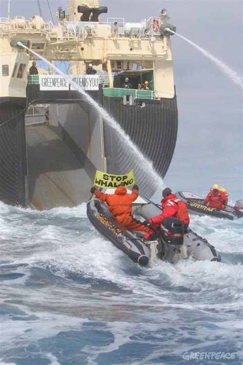 Greenpeace impide que los balleneros se abastezcan de ...