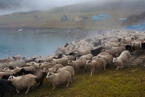Groenlandia: imágenes de la Tierra de los Vikingos   Taringa!