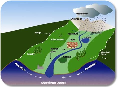 Groundwater > Groundwater Divide