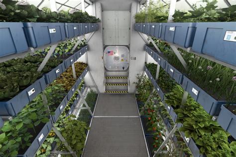 Growing Hydroponics & Food In Space | Garden Culture Magazine