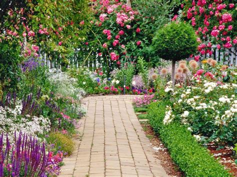 Growing the Best Flowers in Town | Landscaping   Gardening ...