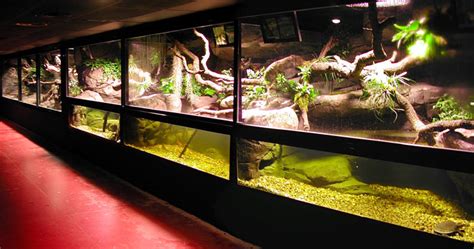 Grupo Atrox | Zoo Aquarium Madrid