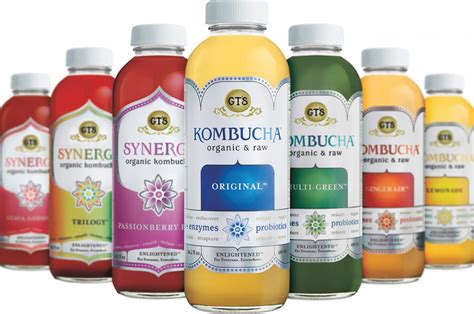 GT’s Living Foods Alive Kombucha Drinks Review – Is it a ...