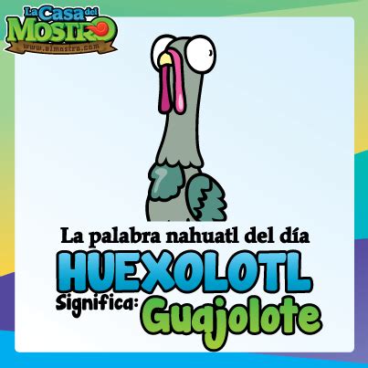 Guajolote en Náhuatl | Palabra Nahuatl | Pinterest ...