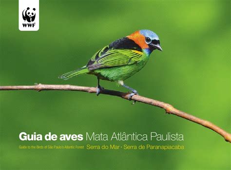 Guia de aves Mata Atlântica Paulista | WWF Brasil