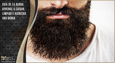Guía de la Barba: Aprende a Cuidar, Recortar e Hidratar Tu ...