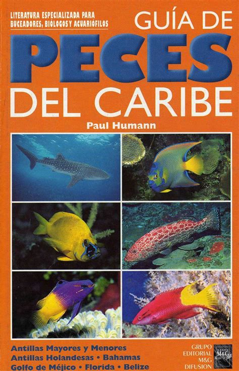 Guía de peces del Caribe | LIBROS NÁUTICOS | Fauna y Flora ...