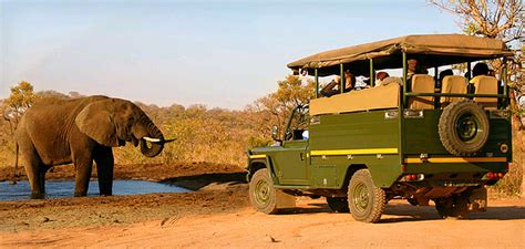 Guía para el safarista intrépido | africa | Ocholeguas ...