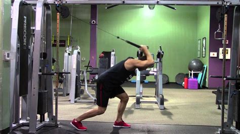 Gym Machine Workout   HASfit Weight Machine Workouts ...