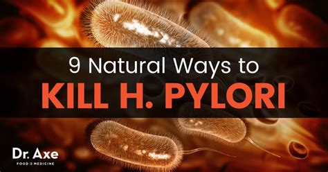 H. pylori Natural Treatments: What it is & How to Get Rid ...