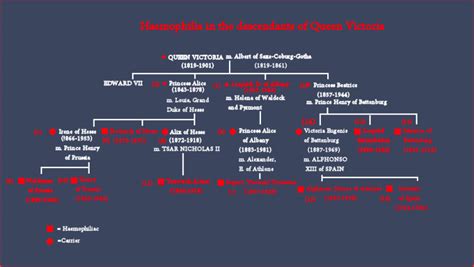 Haemophilia in the descendants of Queen Victoria.