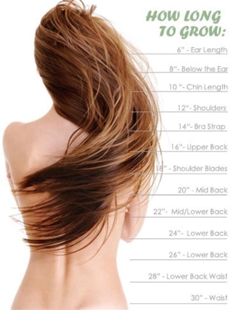 hair growth chart    mid back for sure! :  sooon | h a i r ...