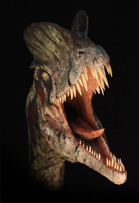 Hallan el dinosaurio con más problemas óseos del mundo