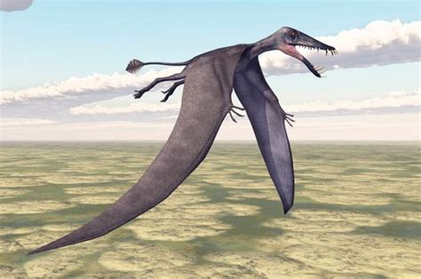 Hallan el pterosaurio más antiguo del país que voló hace ...
