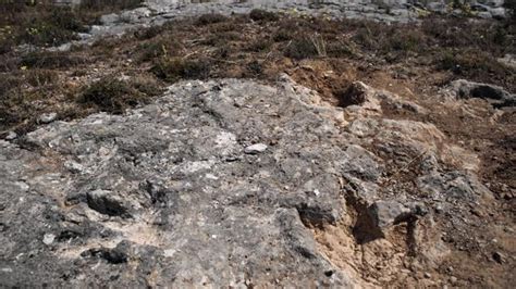 Hallan en Burgos restos de un dinosaurio de unos 145 ...