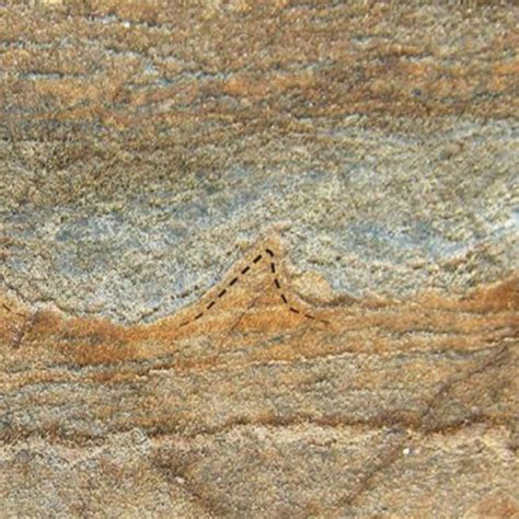 Hallan en Groenlandia los fósiles más antiguos encontrados ...
