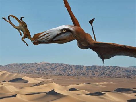 Hallan una nueva especie de pterosaurio