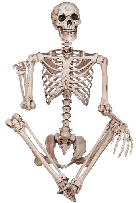 Halloween Esqueletos Reales