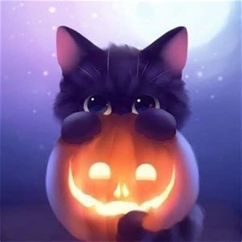 Halloween Kitty Pictures, Photos, and Images for Facebook ...