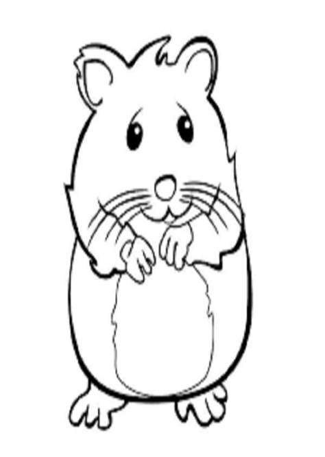 Hamster para colorear   Dibujos para colorear