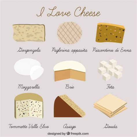 Hand drawn kind of cheese Vector | Free Download