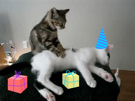 Happy Birthday GIFs   Find & Share on GIPHY