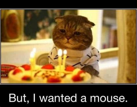 Happy Birthday Images Funny | Very Funny Images