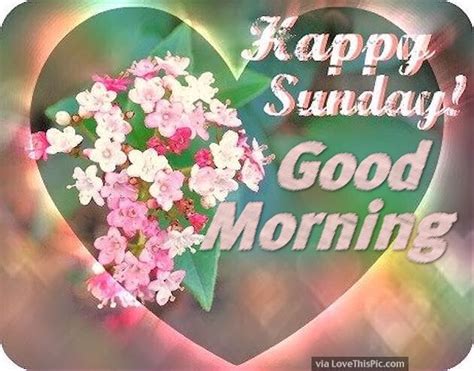 Happy Sunday Good Morning Flowers And Hearts Pictures ...