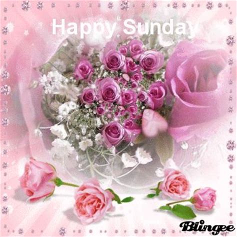 Happy Sunday! | Good Morning | Pinterest | Happy sunday ...