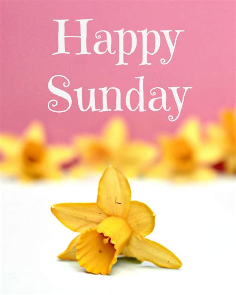Happy Sunday Quotes Pictures Facebook. QuotesGram